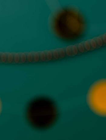 Sponsored: You little beauties