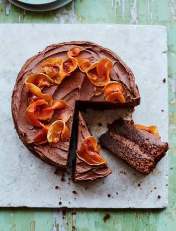 Chocolate and butternut squash cake