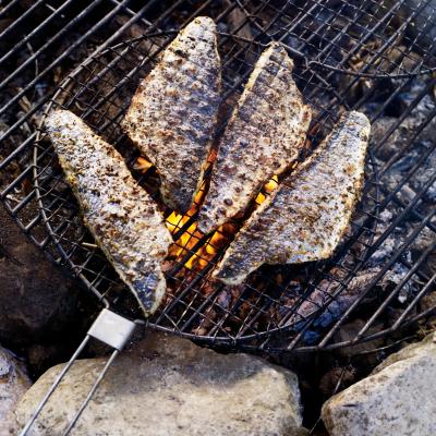 Campfire roast fish with lemon and fennel