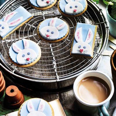 Honey bunny biscuits