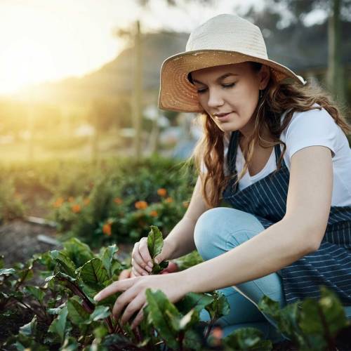 8 ways to keep your garden growing strong this autumn