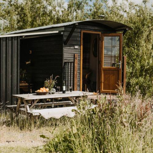 Staycation: Coombeshead Rewilding, West Devon