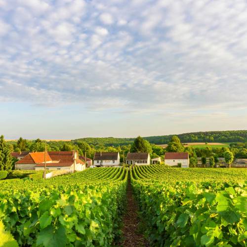 Planning a trip to the Champagne region? Read on…