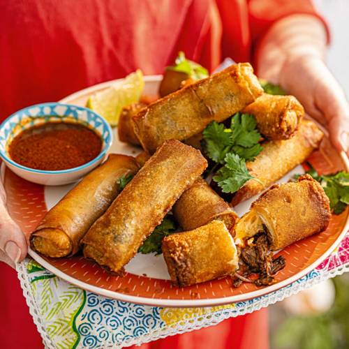 Birria spring rolls