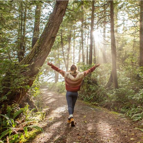 5 of the best... places to find wildlife wonders this autumn