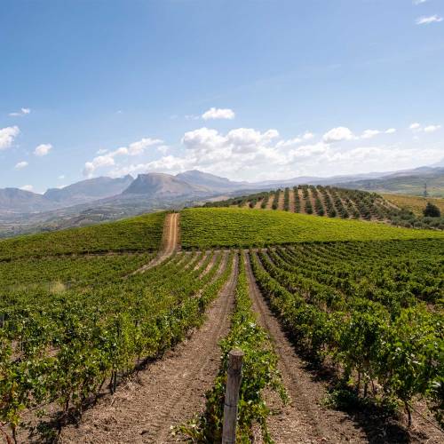 Palermo, Sicily: a city for wine and food lovers