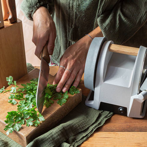 Terms and Conditions