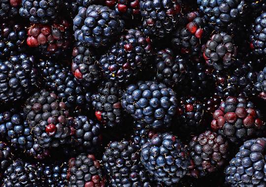 In season: what to cook and eat in September