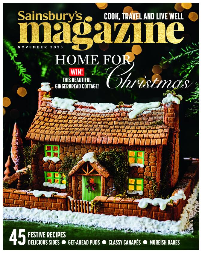 OUR NOVEMBER ISSUE IS OUT NOW!