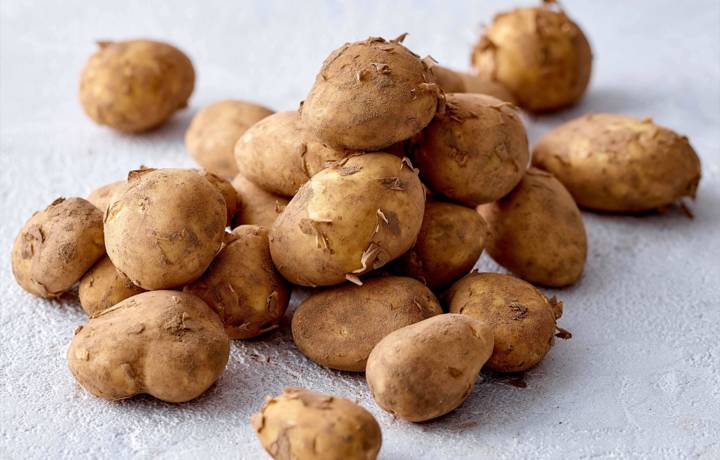 Jewels of the earth: inside the world of Jersey Royals