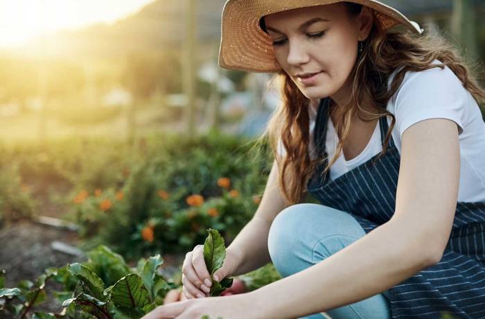 8 ways to keep your garden growing strong this autumn