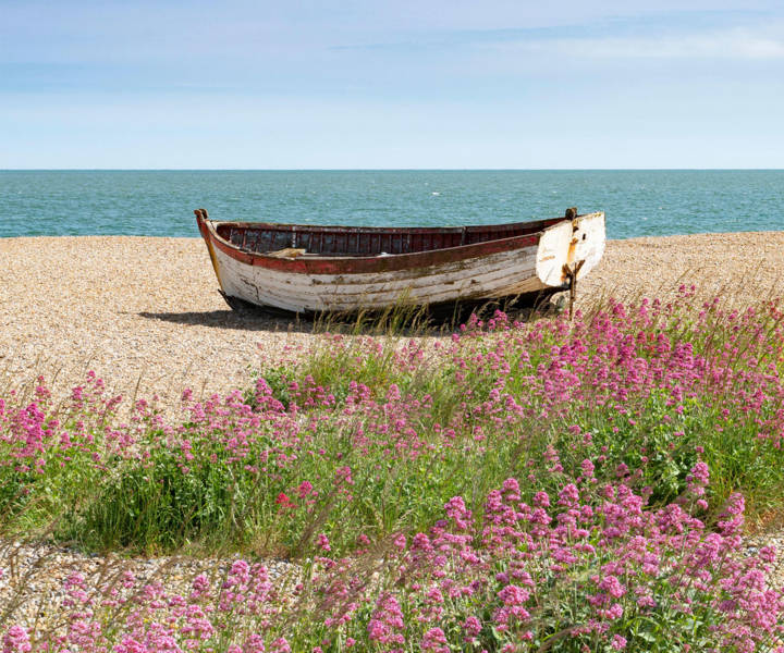 Staycation: The Suffolk, Suffolk