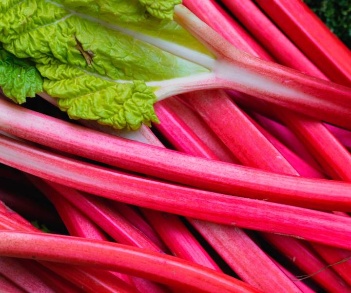 In the pink: why rhubarb is the flavour of the moment