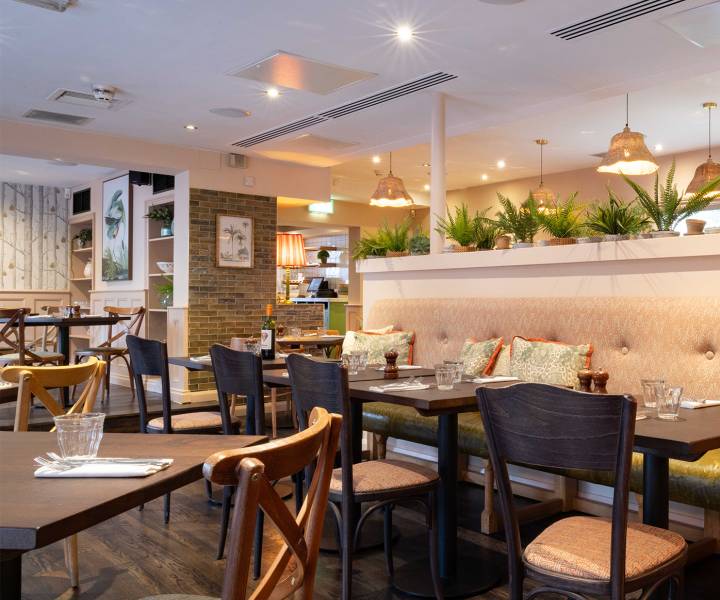 Win a £250 voucher to spend at Brasserie Blanc