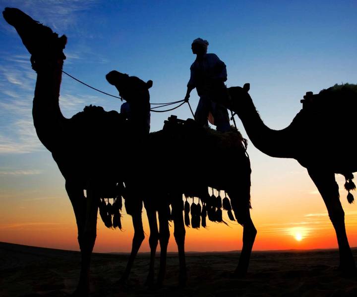 6 reasons to visit Doha
