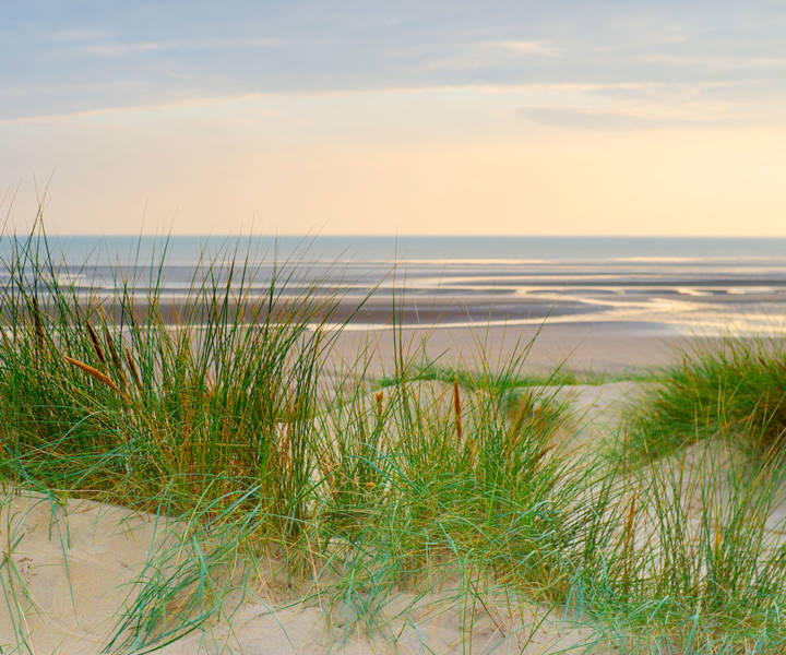 Staycation: The Gallivant, East Sussex