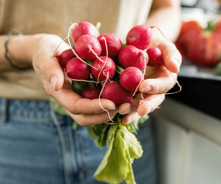 6 fastest-growing vegetables to sow now and eat in summer