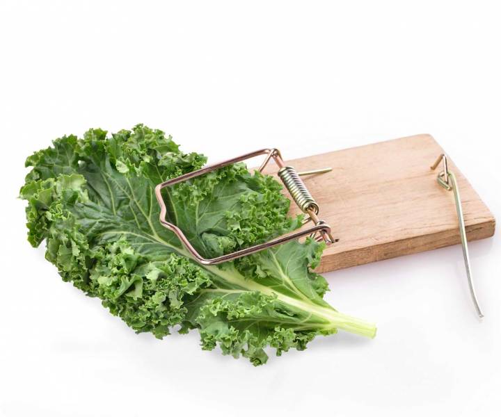 The healthy eating trap