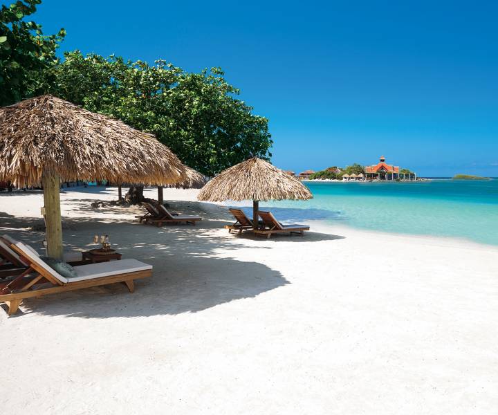 In Love, in Jamaica