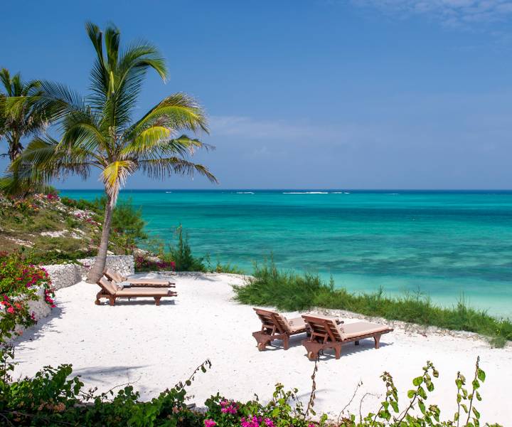 Zanzibar: the spice of life