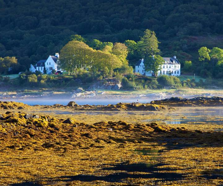Skye and Harris: the sound of silence