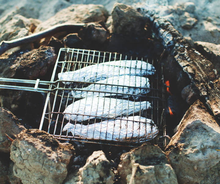 5 things you need to know about wild cooking