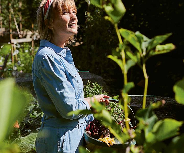 8 tips for growing your own vegetables