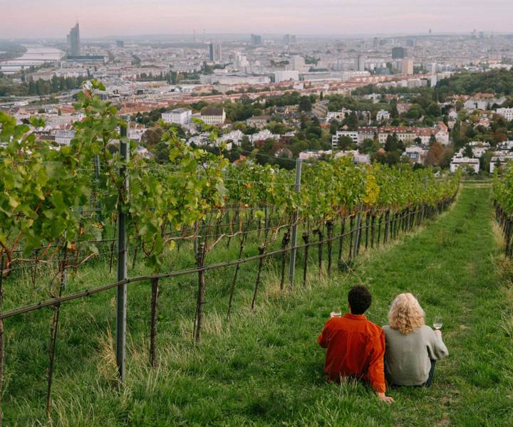 Travel review: A Viennese swirl