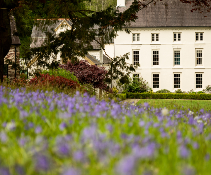 Staycation: Grove of Narberth, Pembrokeshire