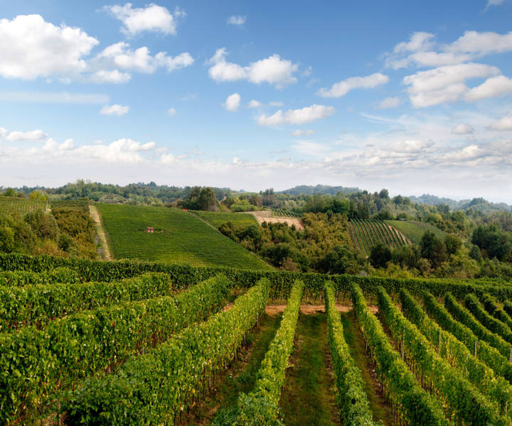 Travel review: Piedmont