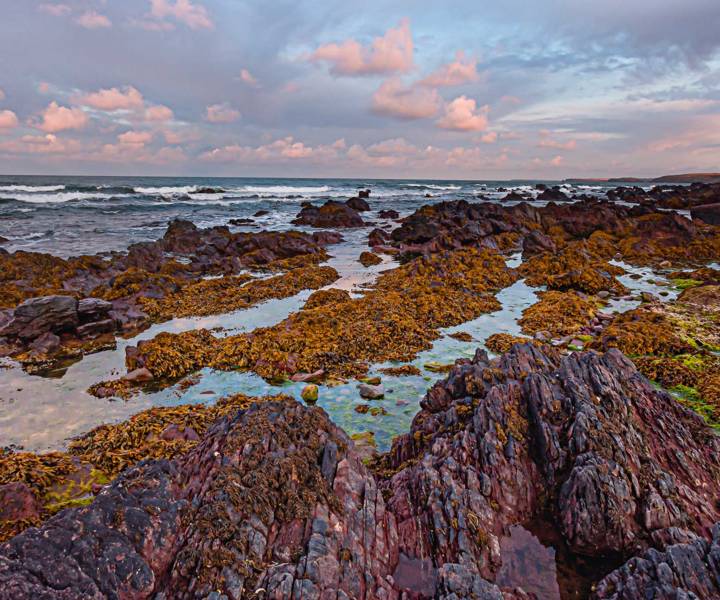 Staycation: Pembrokeshire, Wales
