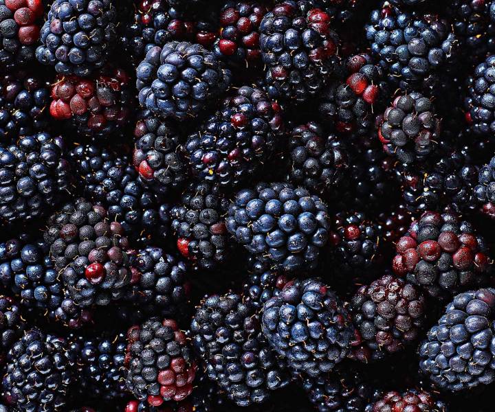 In season: what to cook and eat in September