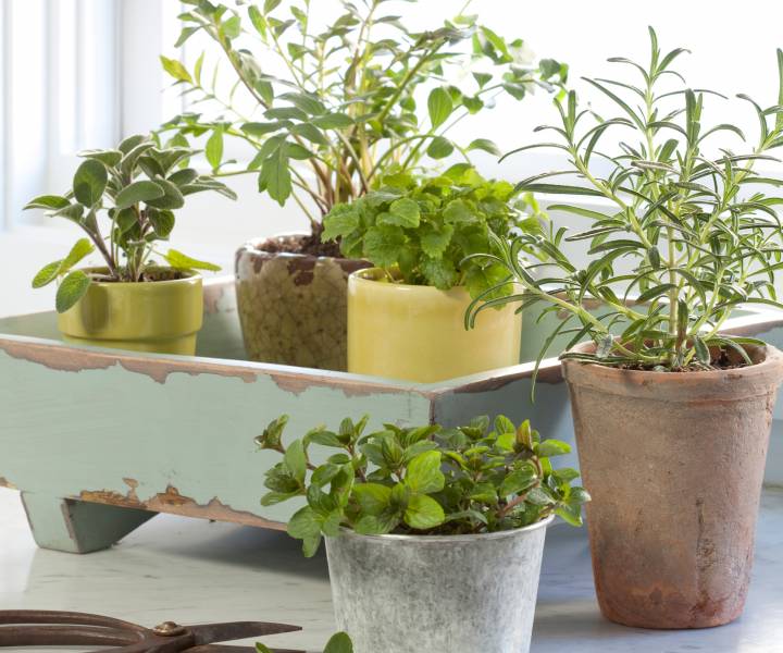 13 clever ways to save money on food