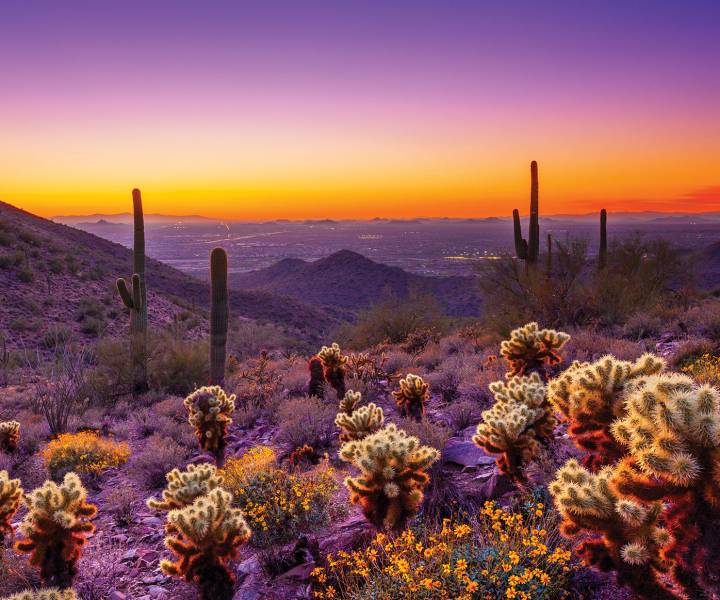 New horizons: discover your inner cowgirl in Scottsdale, Arizona