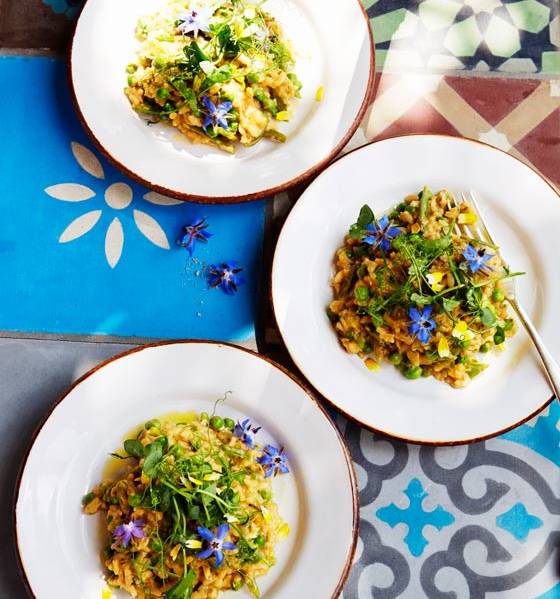 Crab risotto