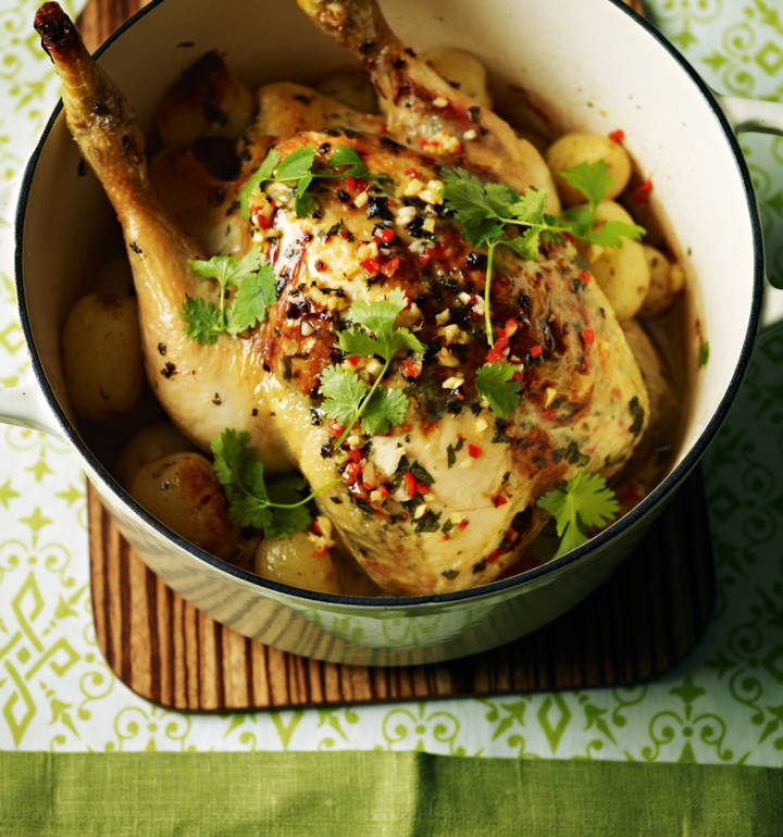 Pot-roast chicken with chilli and coconut