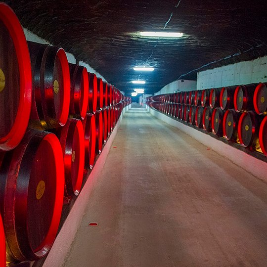 Cricova winery