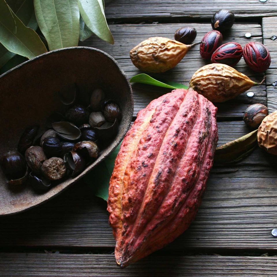 Cocoa beans and nutmeg