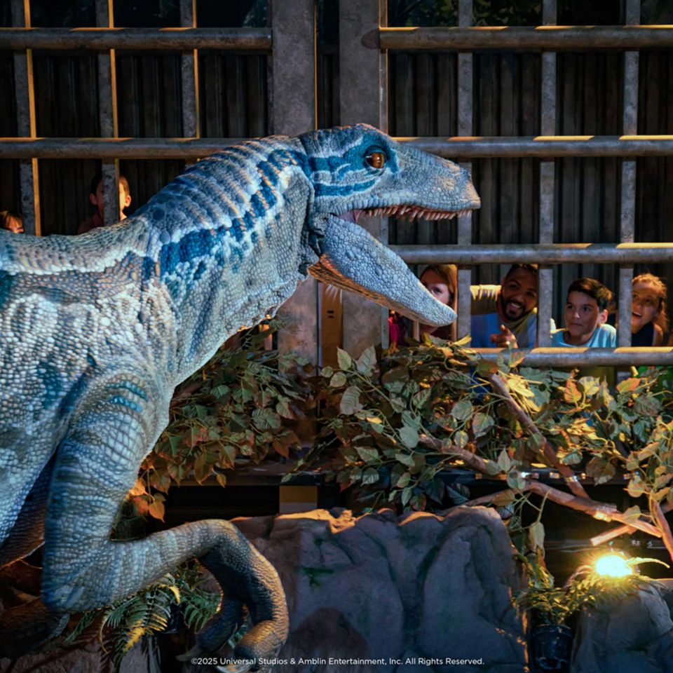 ©2025 Universal Studios & Amblin Entertainment, Inc. All Rights Reserved.