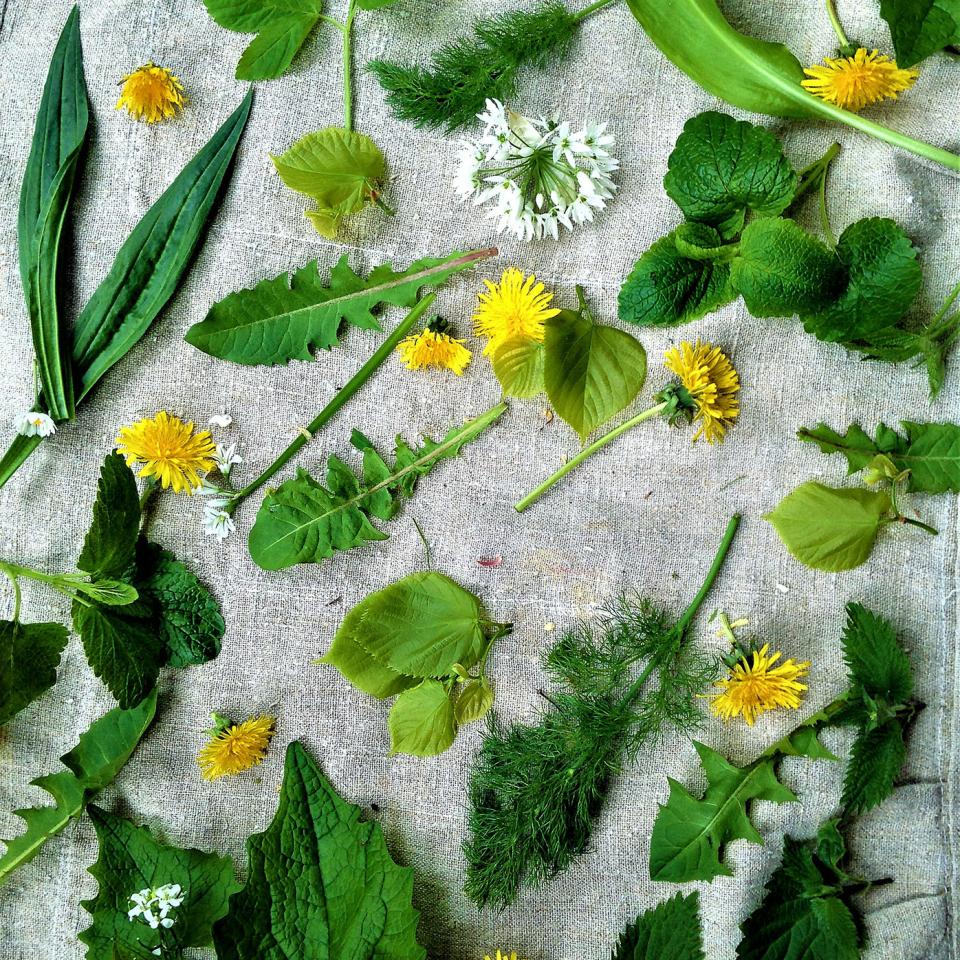 The results of a spring forage - 'The year starts with a flush of lush wild greens'