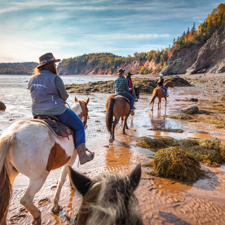 Horse-riding-at-Cliffs-of-Fundy-Geopark_1400x1400