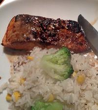 salmondish.jpg