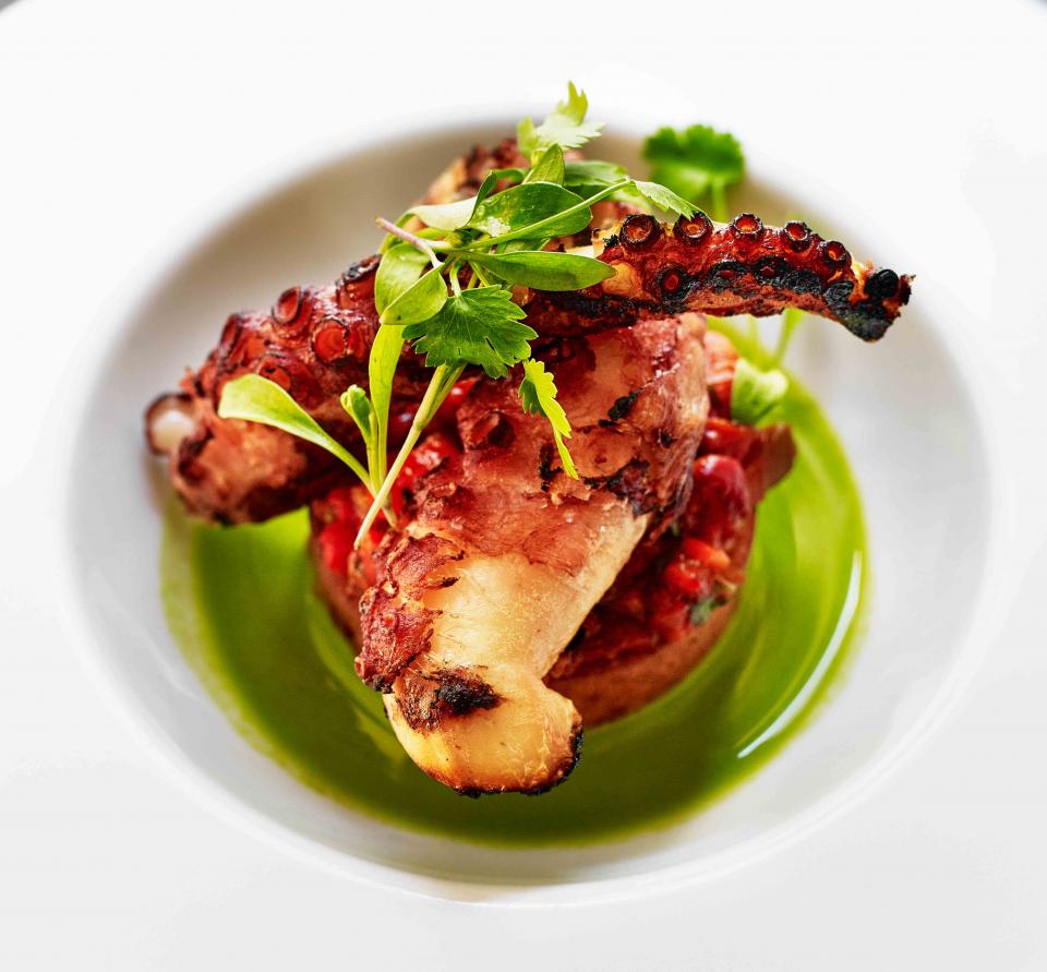 OperaTavern_Octopus.jpg