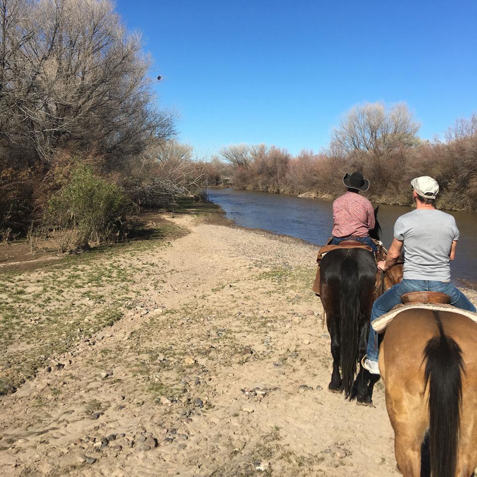 Horse riding through the Verde River Valley