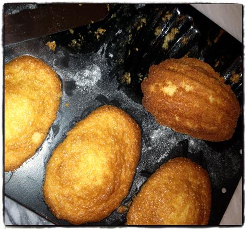 madeleines.jpg