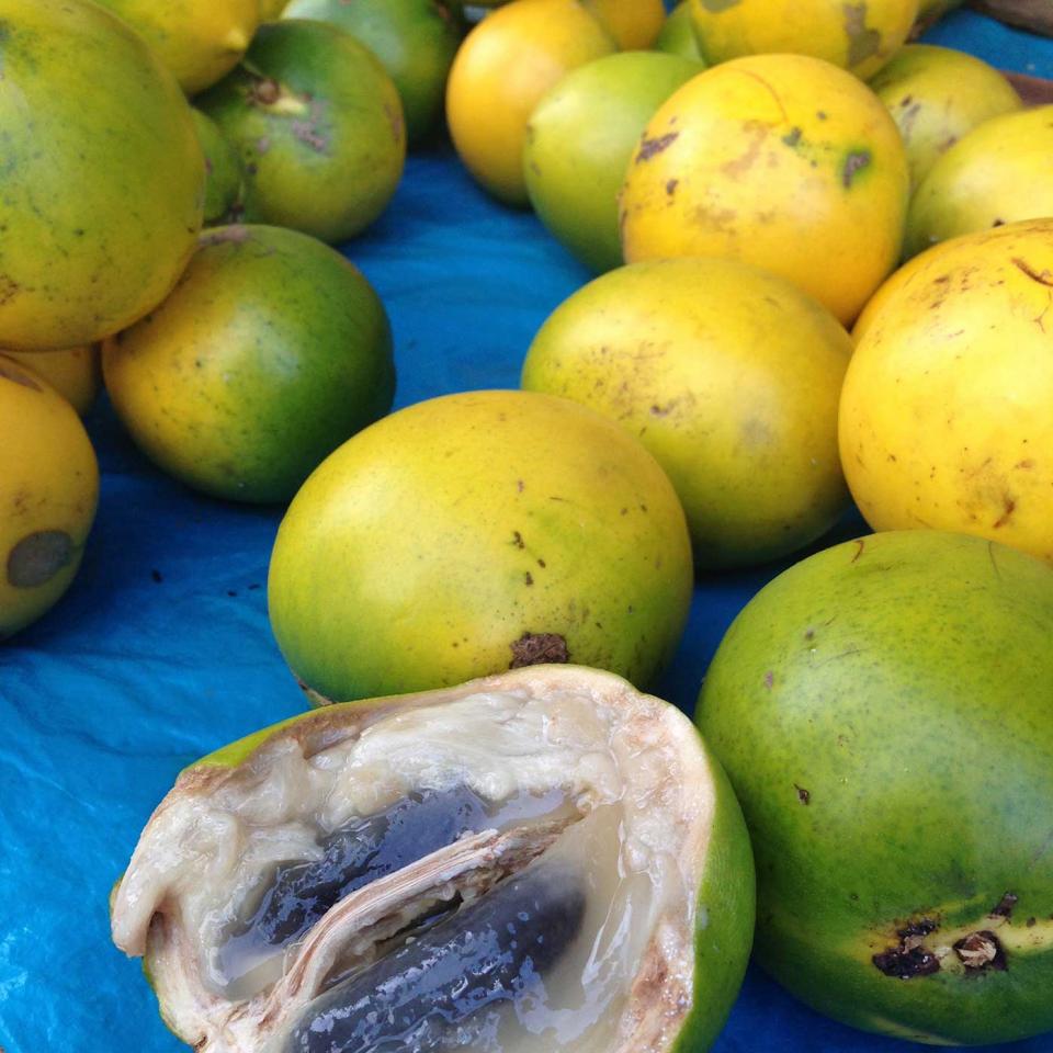 Caimito fruit