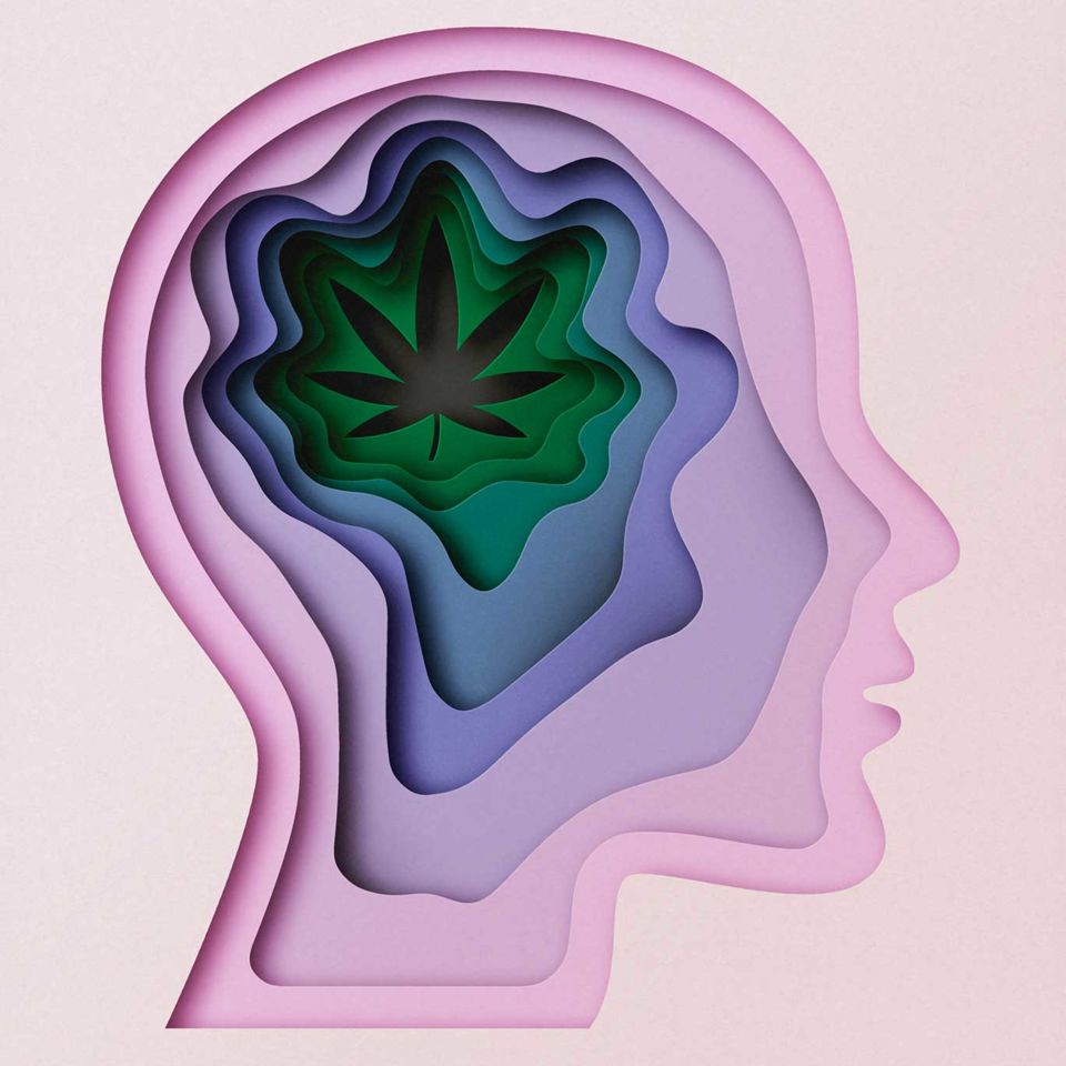 CBD oil