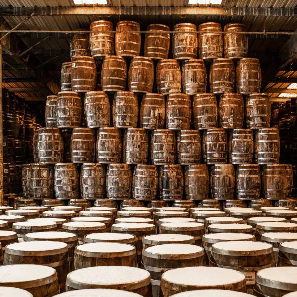 The mash warehouses are ‘the size of aircraft hangars'
