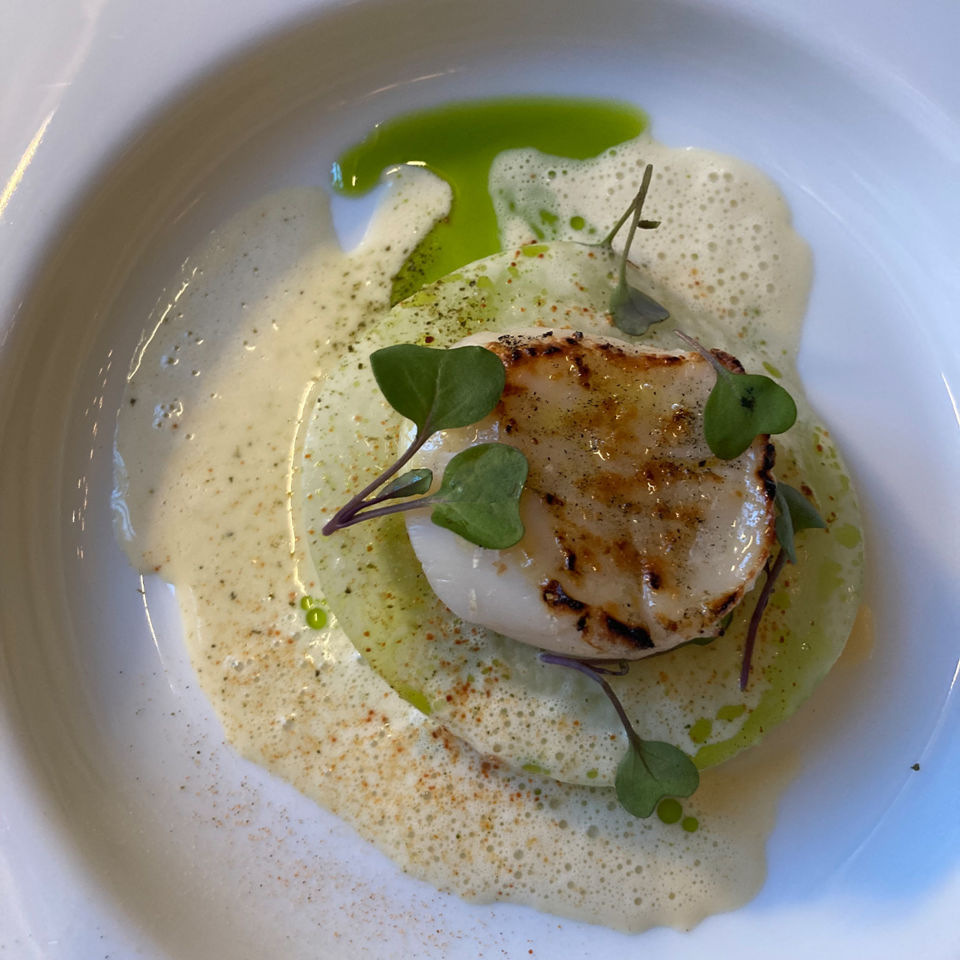 Tamsin's artfully presented scallop with kohlrabi