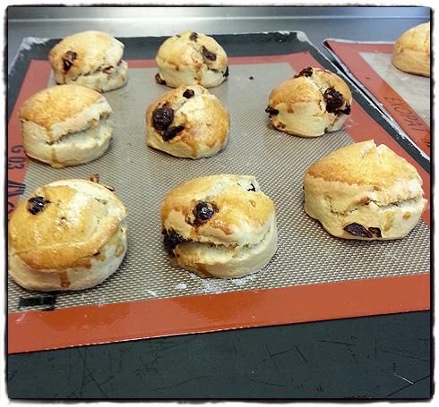 lords-scones-from-the-oven.jpg